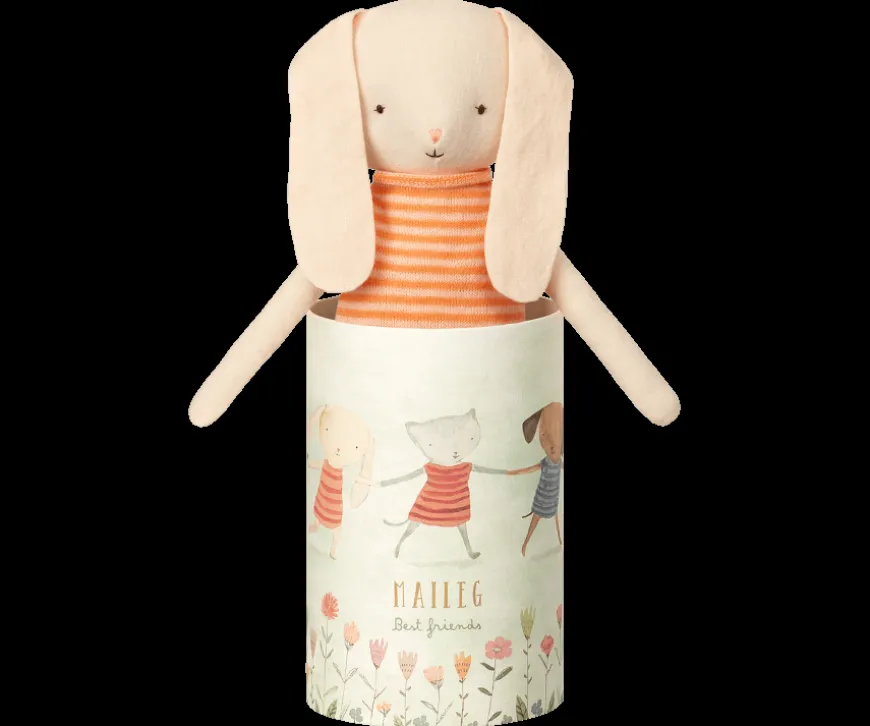 Online Bunny Best Friend All Bunnies And Rabbits