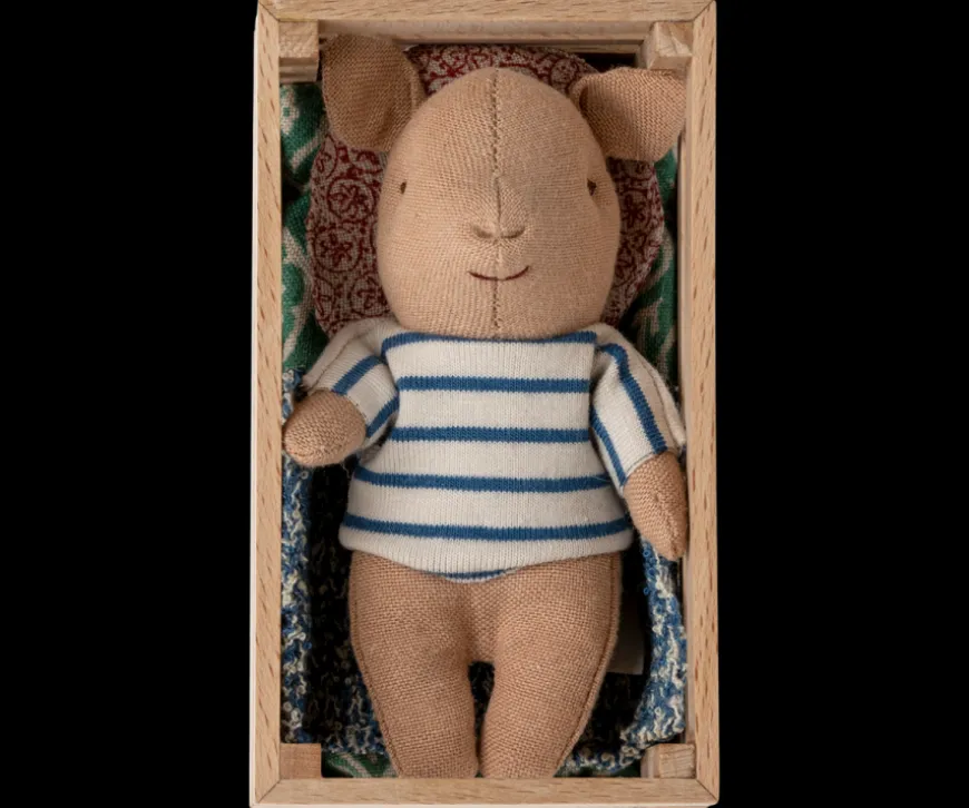 Sale Pig In Box, Baby - Boy Pigs