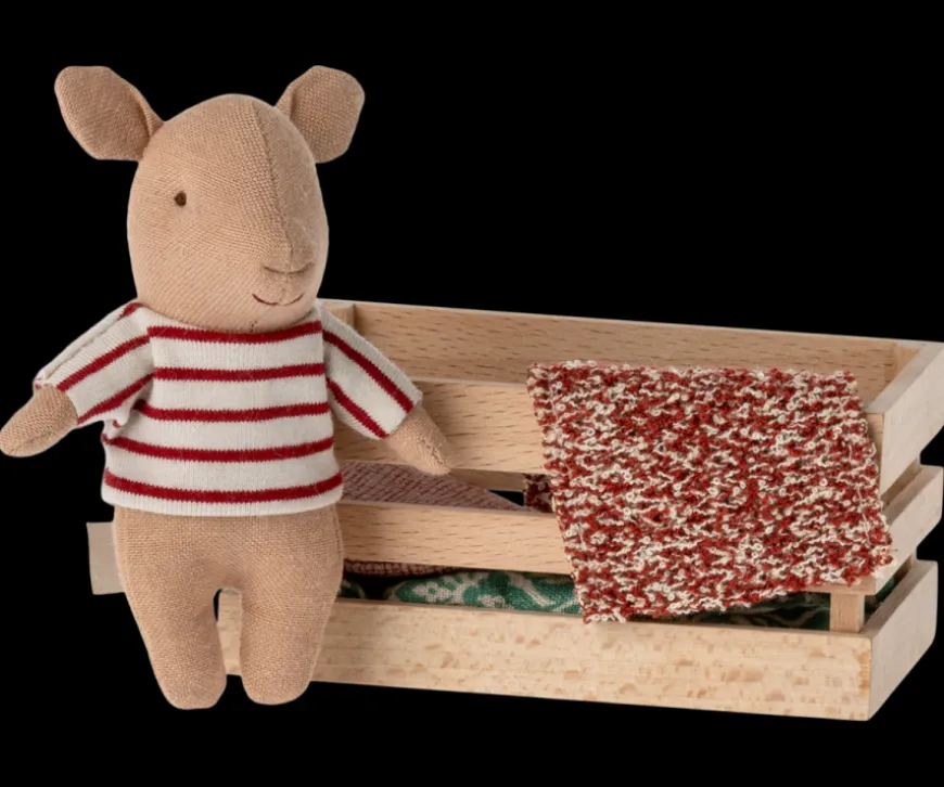 Sale Pig In Box, Baby - Girl Pigs